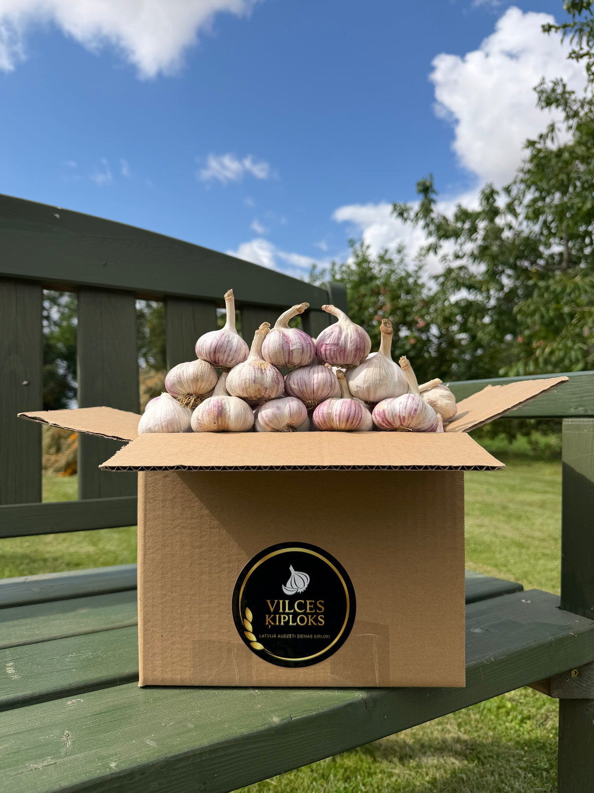 Žāvēti ķiploki M izmērs - 10 kg