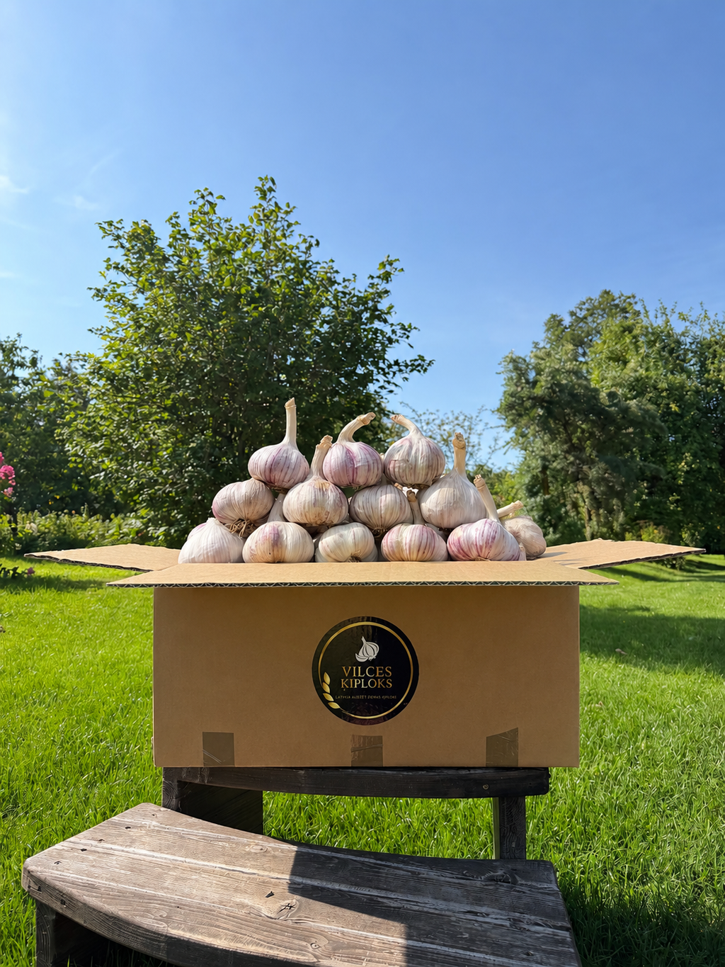 Žāvēti ķiploki L izmērs - 15KG