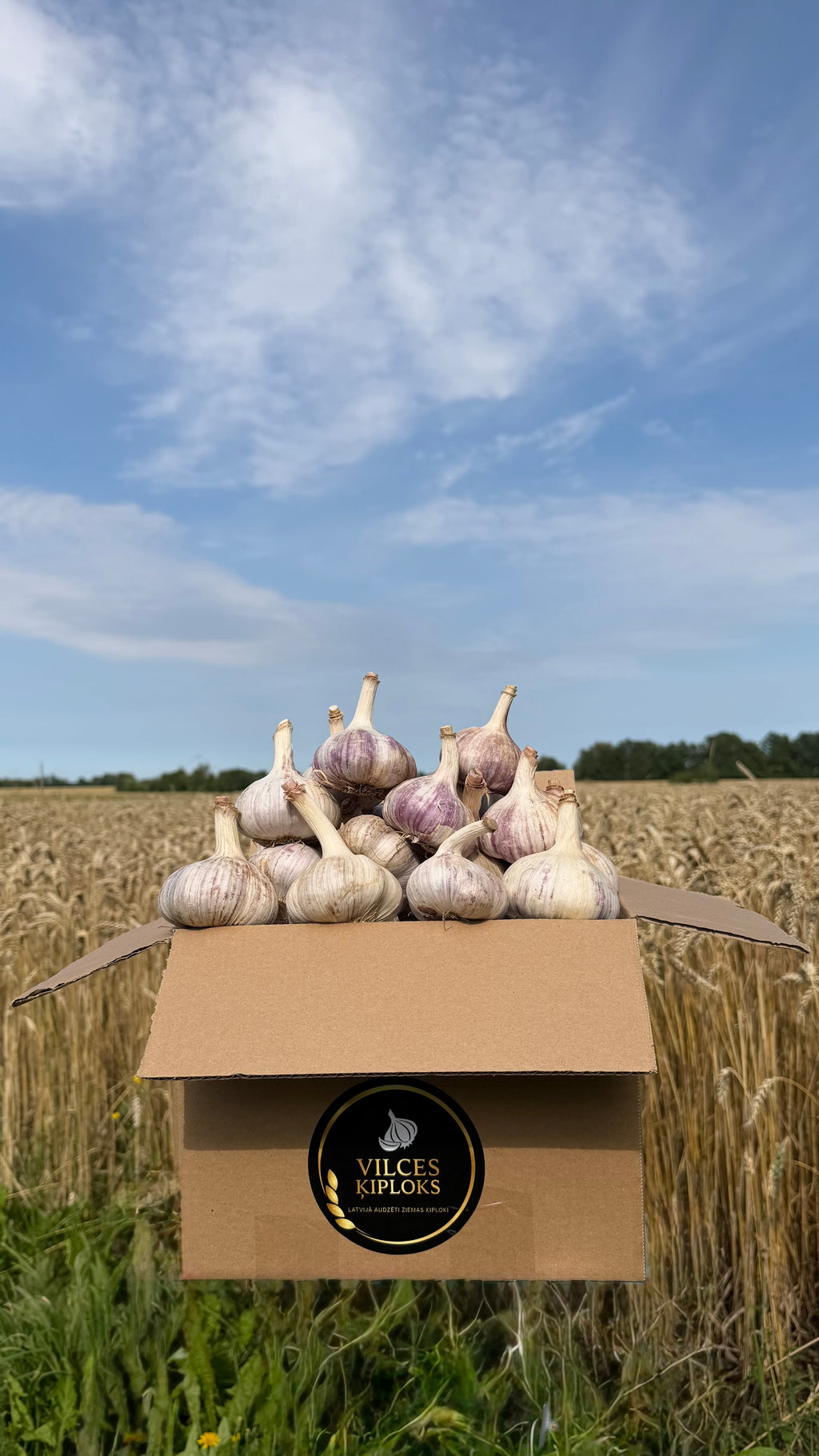 Žāvēti ķiploki L izmēra – 3kg